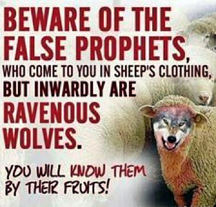 beware-false-prophets-wolf-in-sh